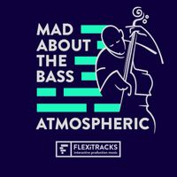 Andy Blythe, Marten Joustra - Mad About The Bass - Atmospheric