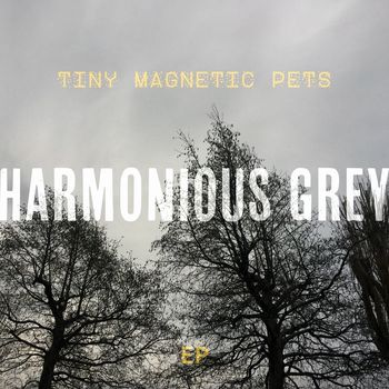 Tiny Magnetic Pets - Harmonious Grey