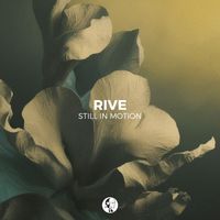 RIVE - Still In Motion