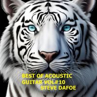 Steve Dafoe - Best of Acoustic Guitar, Vol. 10