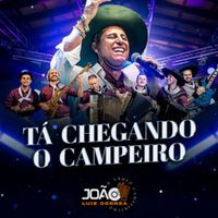 João Luiz Corrêa - Tá Chegando o Campeiro