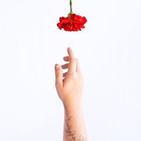 BLØØM - Backup Life Plan