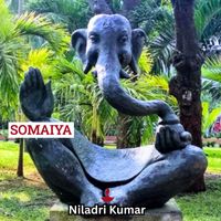 Niladri Kumar - Somaiya
