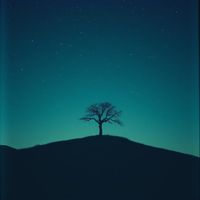 Wally - Infinite Light