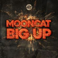Mooncat - Big Up