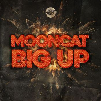 Mooncat - Big Up