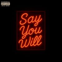 Sney (feat. Shaun VI) - Say You Will (Explicit)