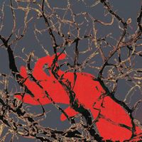 SEB - Resentido Social