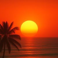 Imperial - Carbon Dreams