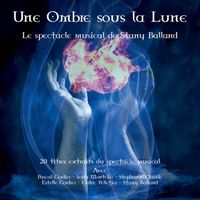 Stany Balland - Une ombre sous la lune