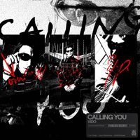 VIDO - Calling You
