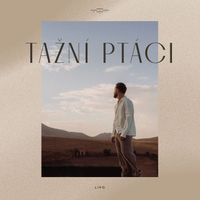 Lipo - Tažní ptáci