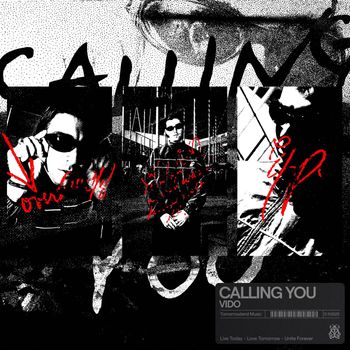 VIDO - Calling You