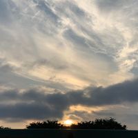 NORI - 「ムリ、むり、絶対に無理！」
