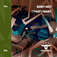 Rory Hoy - 1 That I Want (Extended Mix)