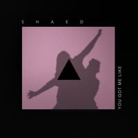 SHAED, snny - You Got Me Like