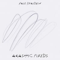 Paul Beaudoin - akashic fields