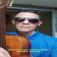 Pedro David - ¿Qué Es Lo Que Está Pasando?