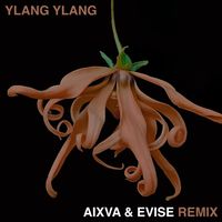 lemon joy - Ylang Ylang (aixva & Evise Remix)