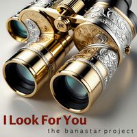 the banastar project - I Look for You