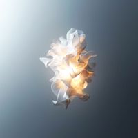 Dropout Marsh - Ignition