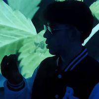 LUKE - Bayas Azules