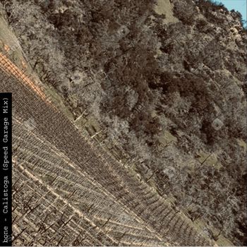 Bone - Calistoga