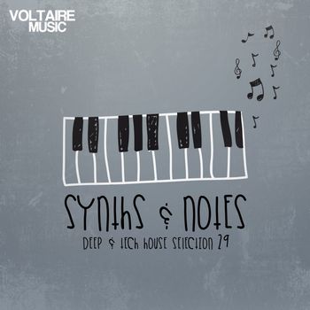 Various Artists - Synths and Notes 29