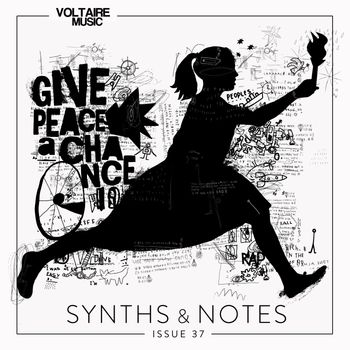 Various Artists - Synths and Notes 37