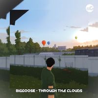 Biggoose - Through the Clouds