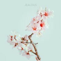 Reflection - JEALOUS
