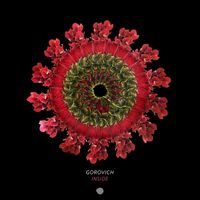 Gorovich - Inside