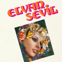 Elvan Sevil - Aynalar / Senin İçin