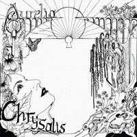 Aurelia Anne Cohen - Chrysalis