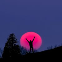 Luces - Daily (Explicit)