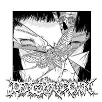 witchgaze - Drag You Down
