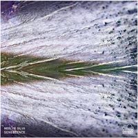 Merlyn Silva - Senescence