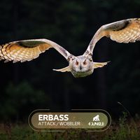 ERBass - Attack / Wobbler