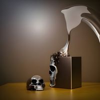 Christophe Bailleau - CHUVA ORBITAL: Armadillo Time