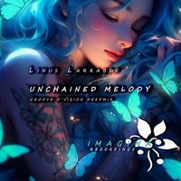 Linus Larrabee - unchained melody (Groove d'vision mix)
