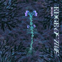 Birch - Edge of Time