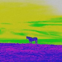 KAO - P.O.N.Y (Explicit)