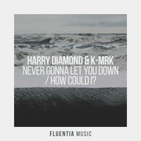 Harry Diamond & K-MRK - Never Gonna Let You Down + How Could I?