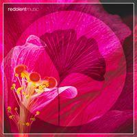 Novalima - La Danza (SIS Remix)