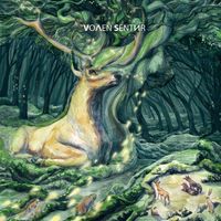 Volen Sentir - The Book of Wisdom (Explicit)