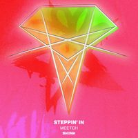 DJ Meetch - Steppin' In (Extended Mix)