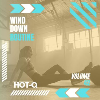 Various Artists - Wind Down Routine 042 (Explicit)