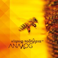 Kitrina Podilata - ANAλOG