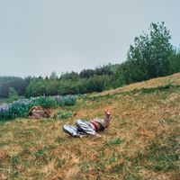 Hjálmar - Morgunóður