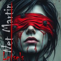 Net Martin - Letsels